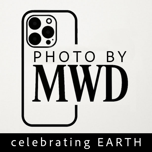 Photos by MWD logo