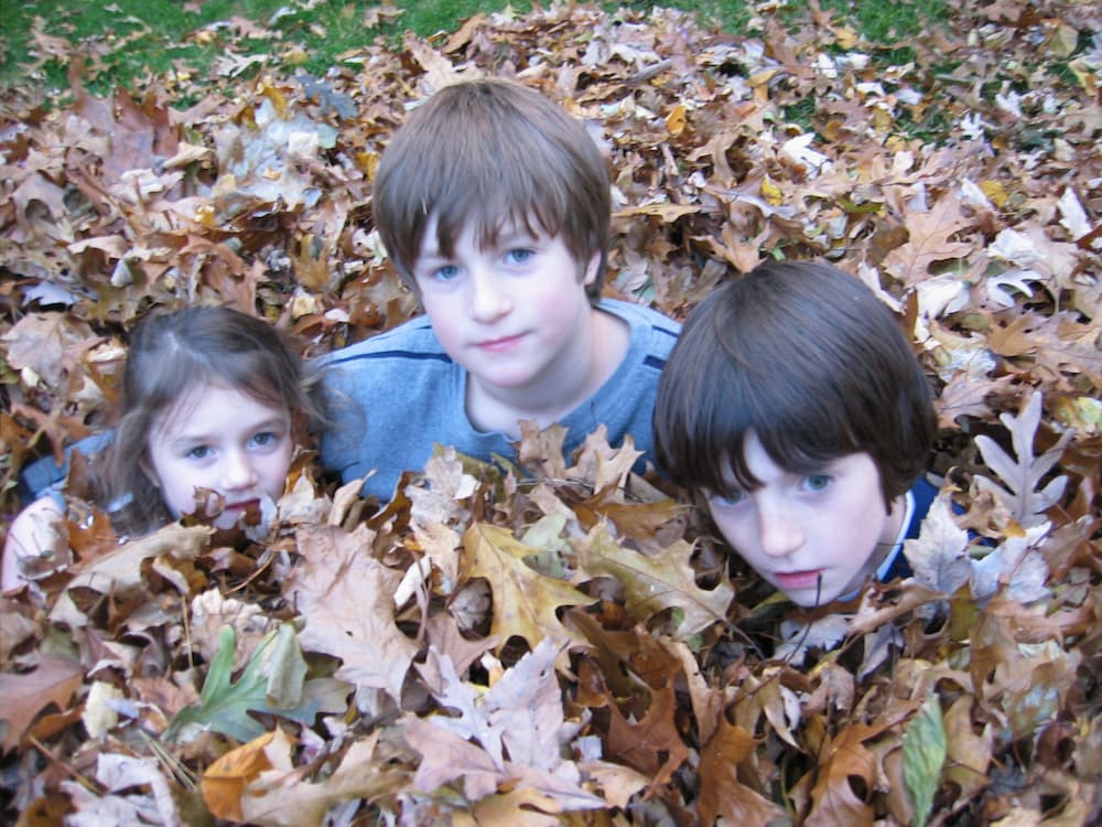 photo of SAC in Autumn Leaves