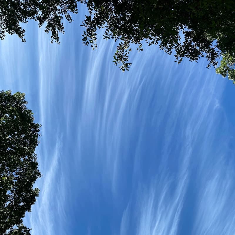 photo of Cirrus Clouds
