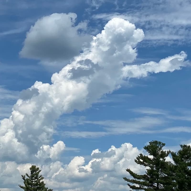 photo of Dog-shaped Cloud