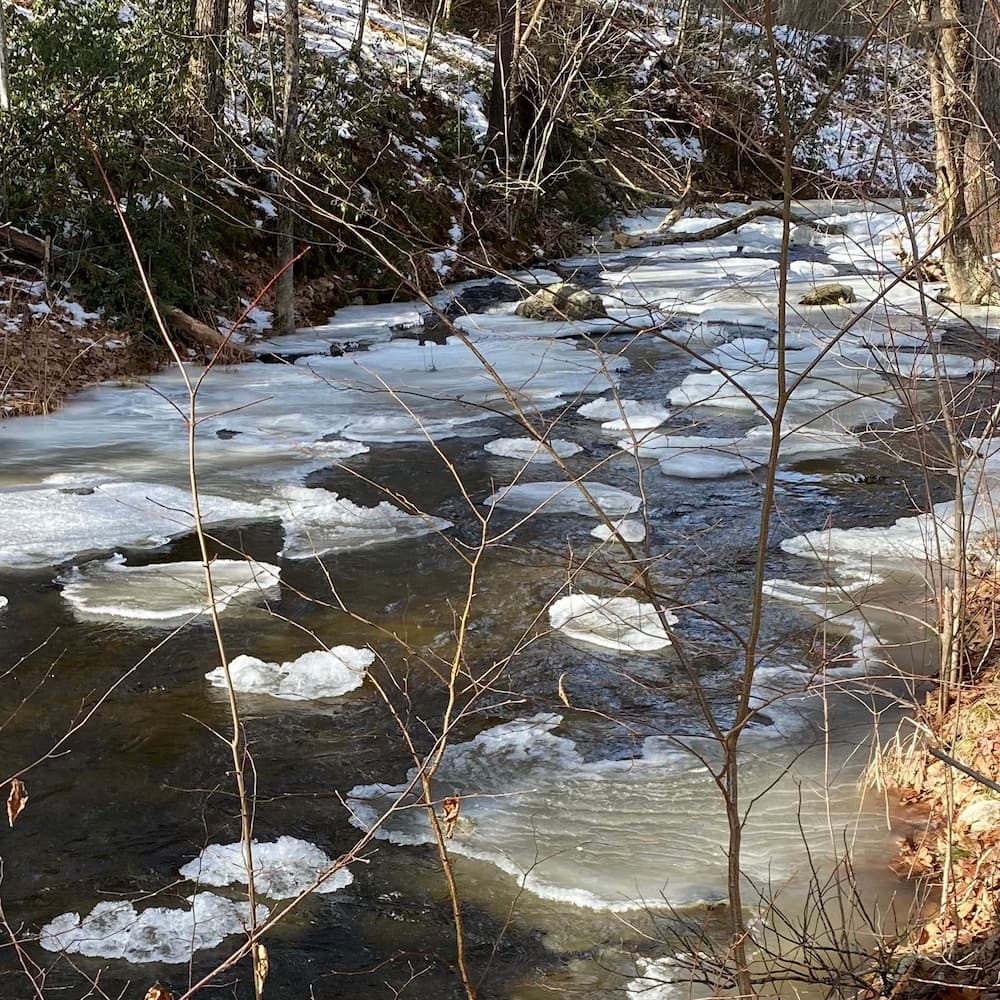 photo of Trout Brook
