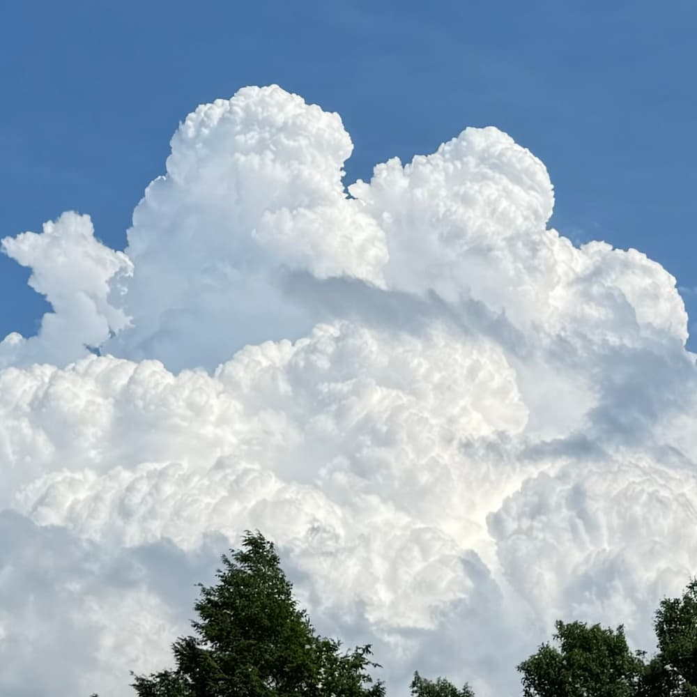 photo of Waxing Cumulous
