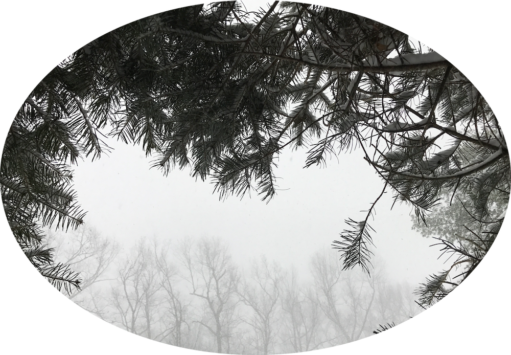 photo of Winter Grey