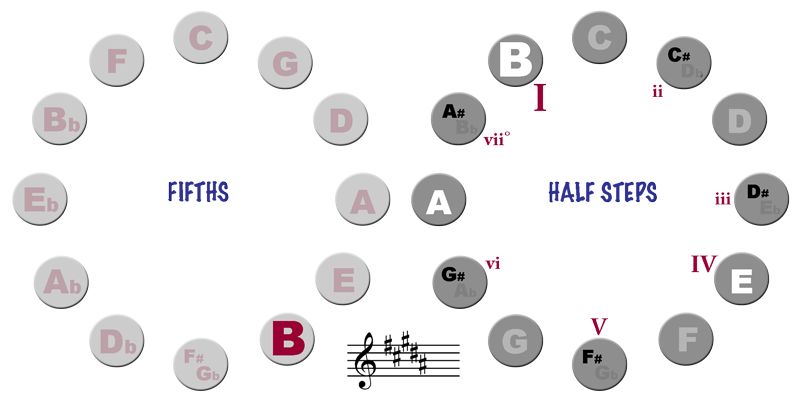 Cycle of Half Steps and Fifths - Key of B