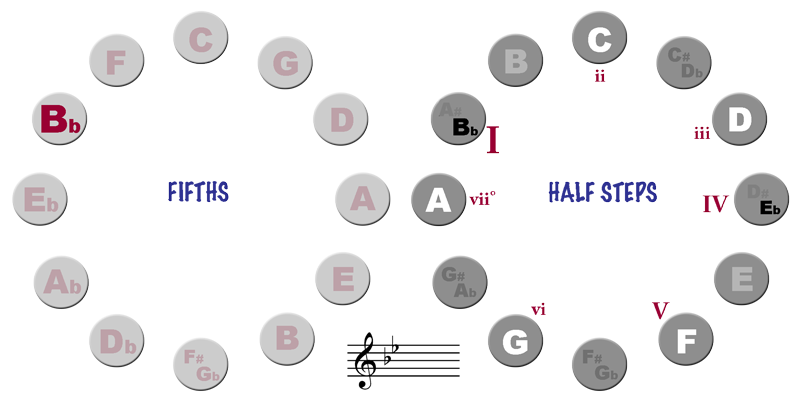 Cycle of Half Steps and Fifths - Key of Bb