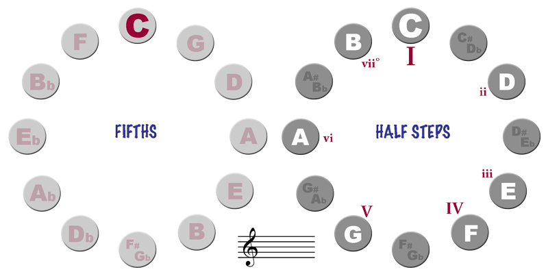 Cycle of Half Steps and Fifths - Key of C