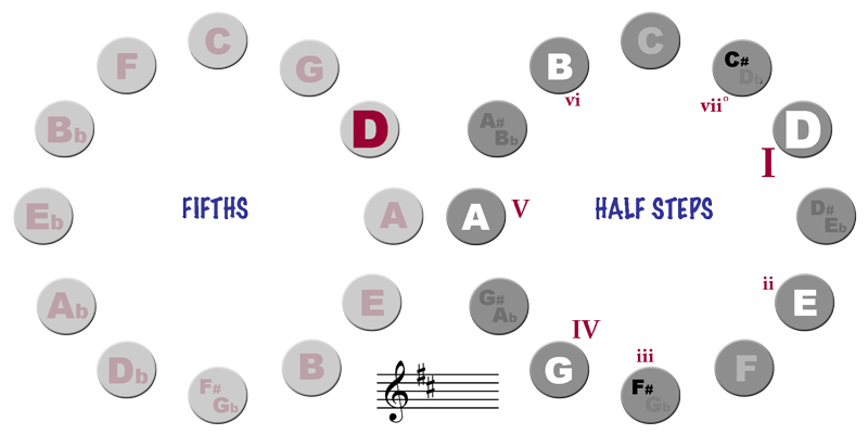 Cycle of Half Steps and Fifths - Key of D