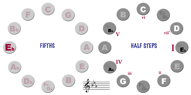 Cycle of Half Steps and Fifths - Key of Eb
