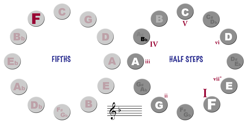 Cycle of Half Steps and Fifths - Key of F