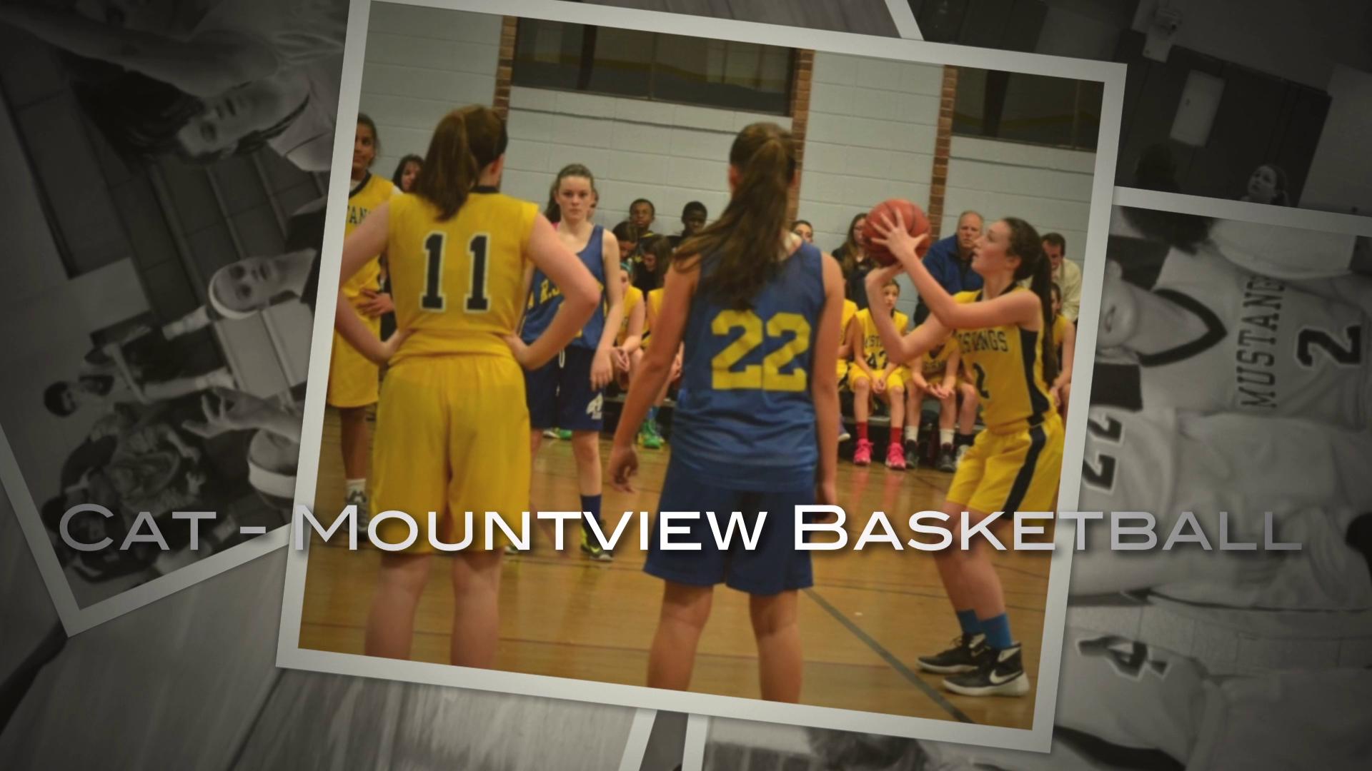 Cat - Mountview Basketball