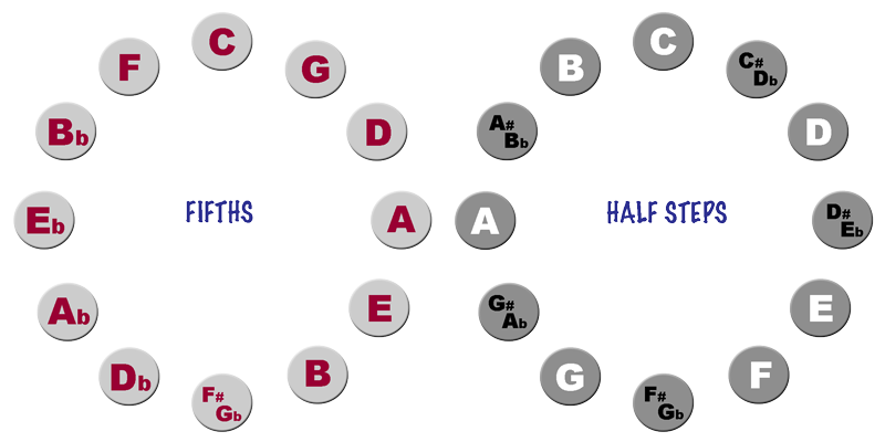Cycle of Half Steps and Fifths